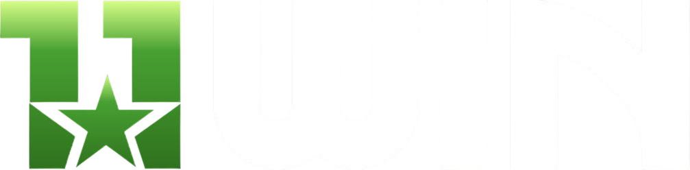11winn.vip